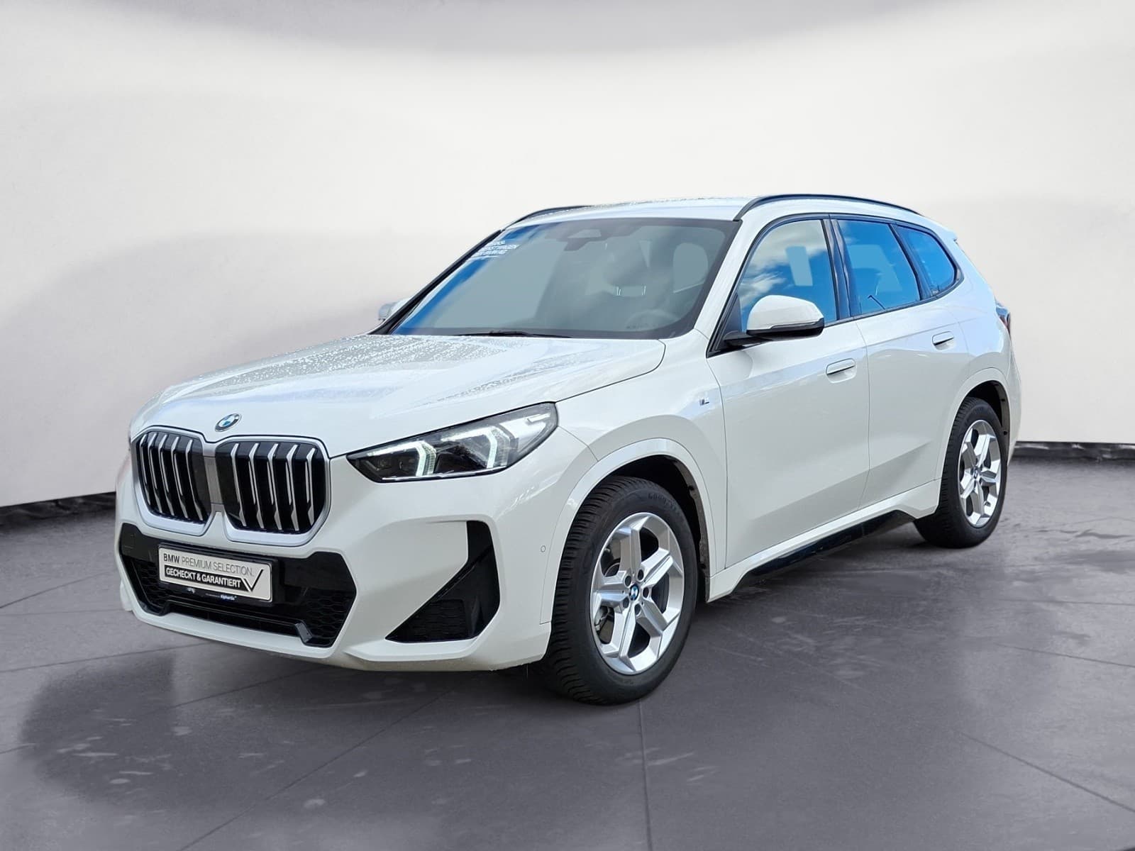 BMW - X1 sDrive20i M Sport