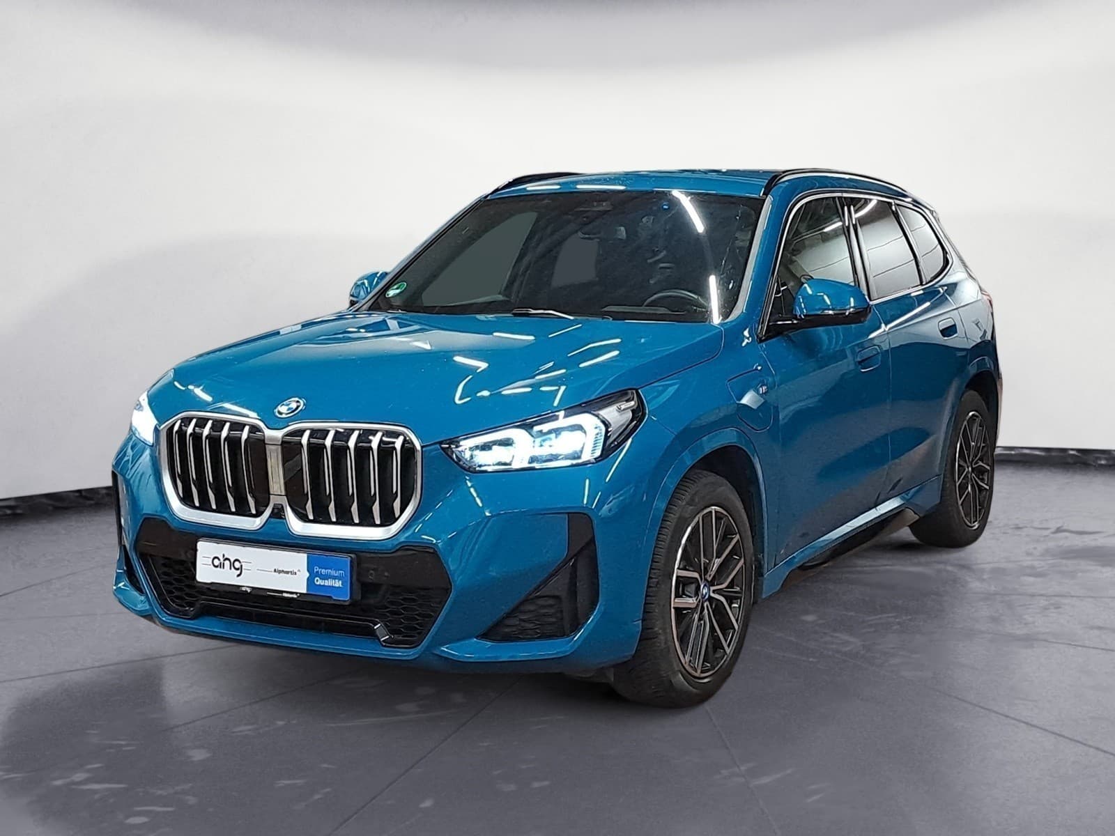 BMW - X1 xDrive25e