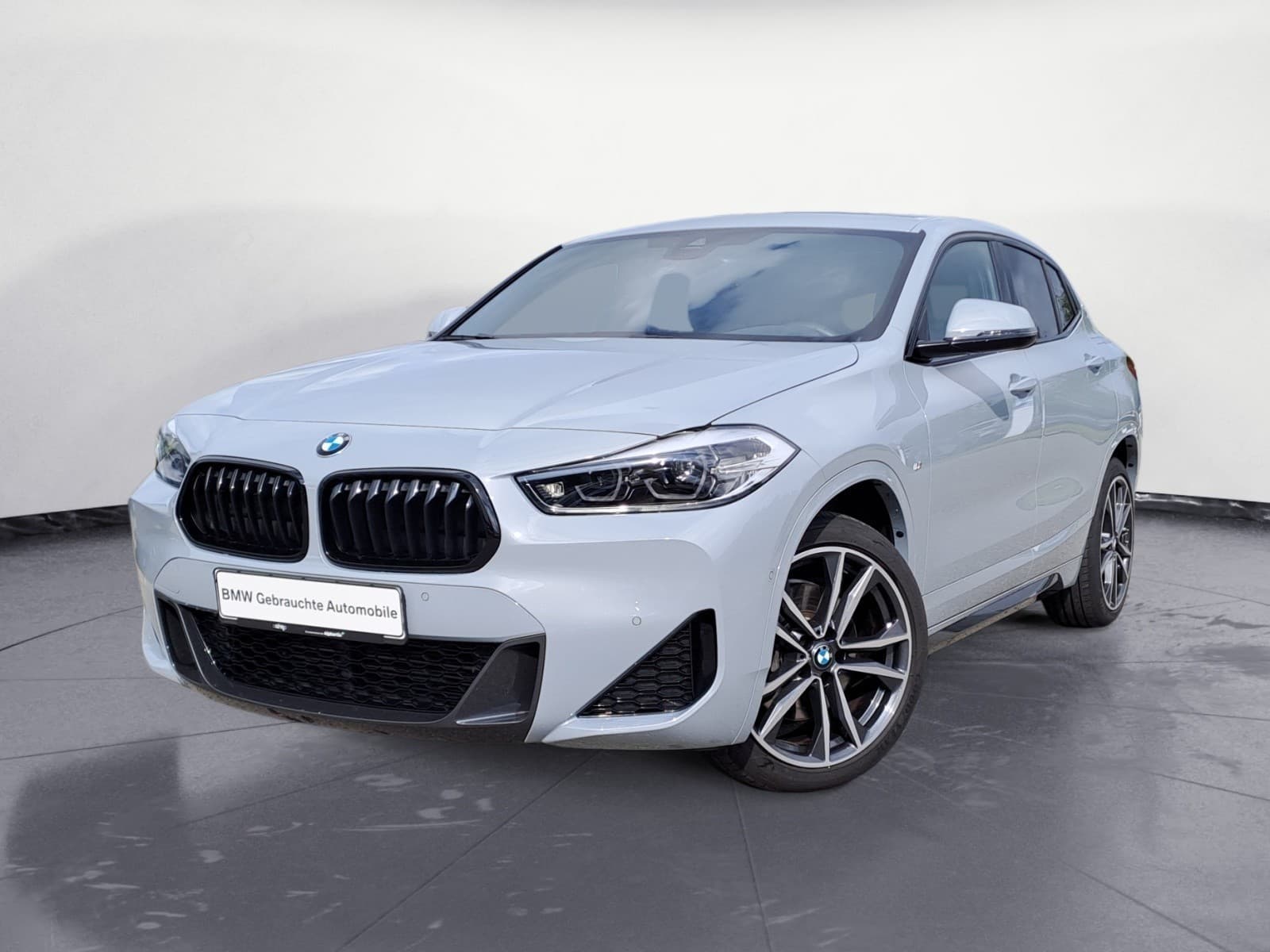 BMW - X2 sDrive20i M Sport Aut.