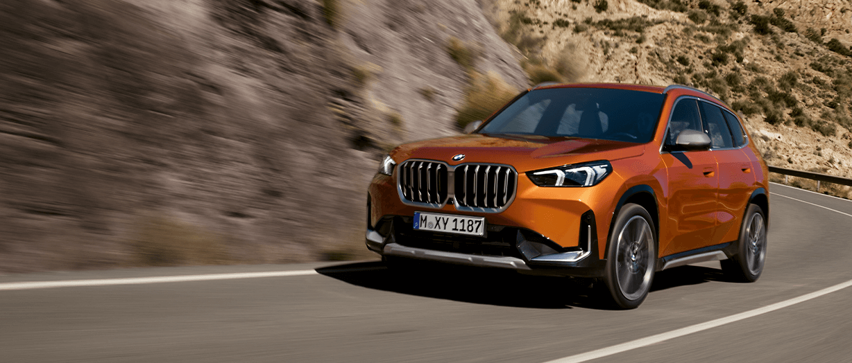 THE X1