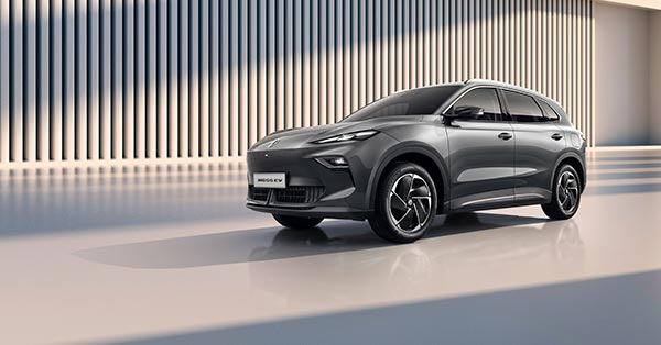 beliebte-MG-Modelle.jpg
