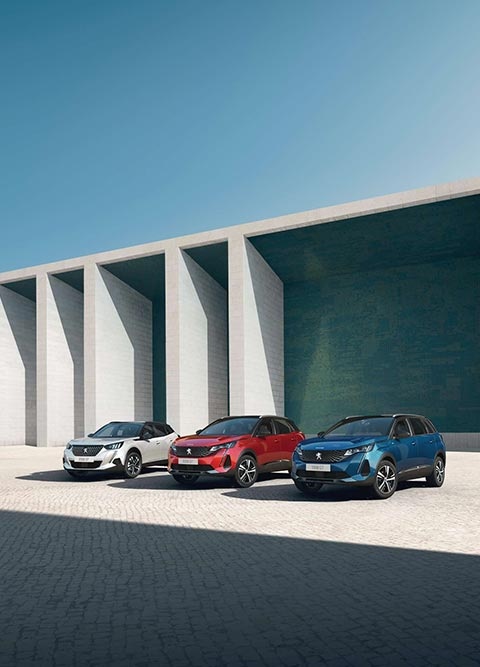 Peugeot-NW.jpg