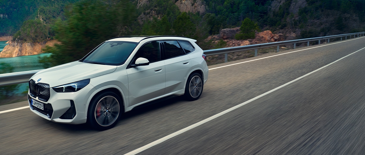 THE iX1