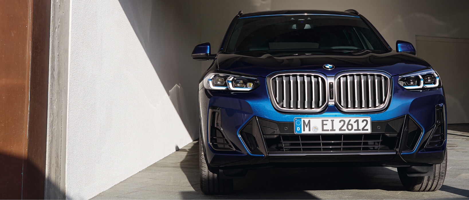 THE  X3