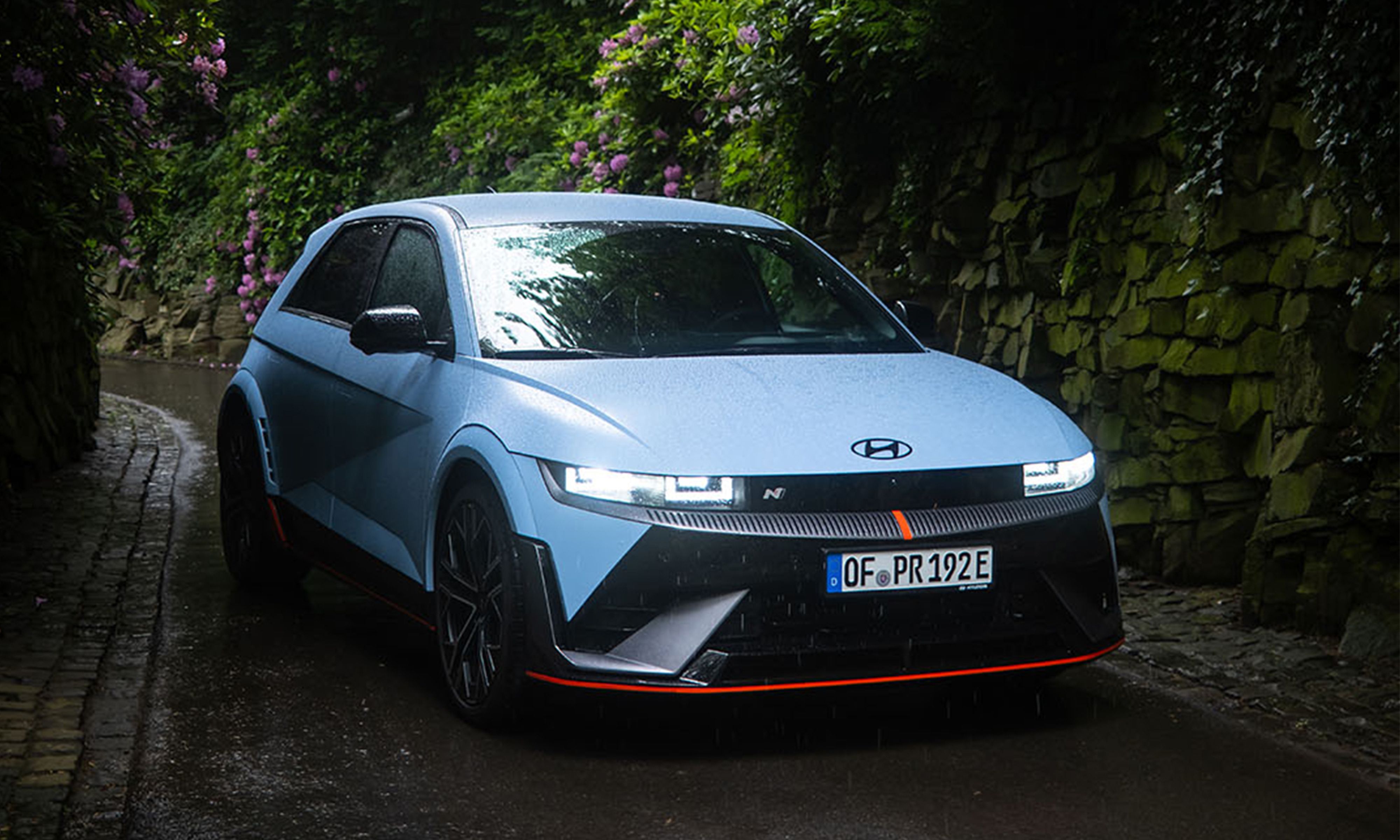 IONIQ 5N Gebüsch.jpg